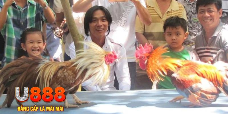 five88 win casino tỷ lệ bóng đá